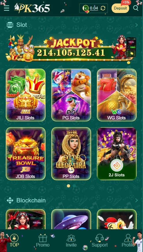 Pk365 Game Interface